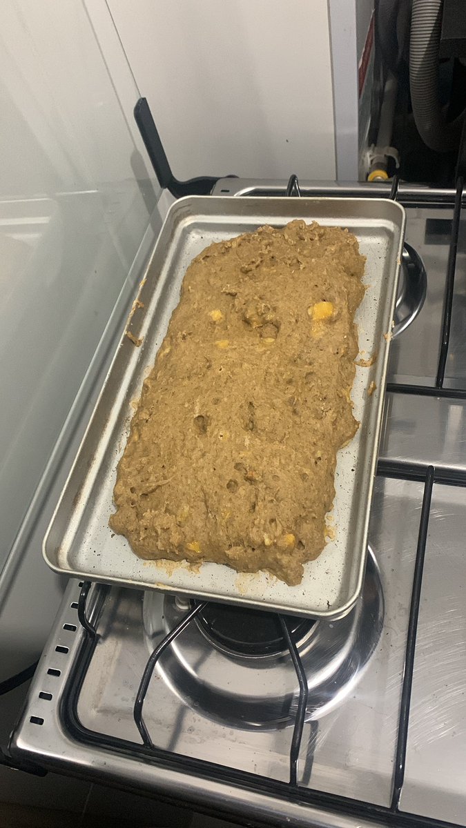 biapsol's tweet photo. Fiz um bolo de banana pra poder ser comido por pessoas e por cachorro. To sendo massacrada como péssima na cozinha só porque ficou um pouco feio, mas eles nem comeram ainda. Também fiz uma calda de brigadeiro mas tá separada só pros pedaços de humanos. https://t.co/Y3Yugyv5PP