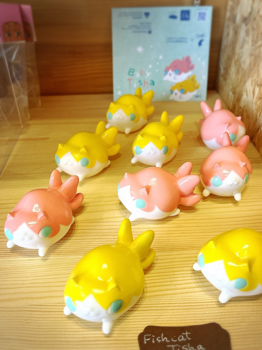 karasuma_0000's tweet photo. うわあああたくさんいるうううう😭✨
#Fishcat https://t.co/ljd9Nw14xM