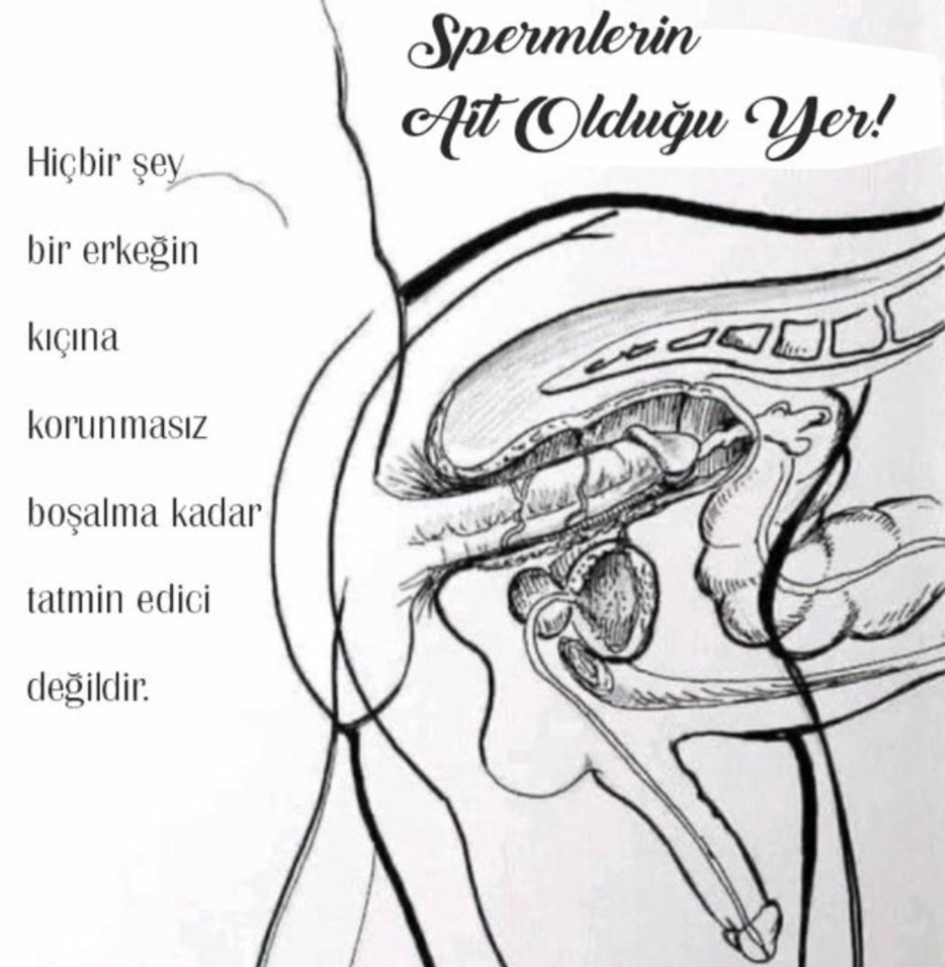 ank-psfm 52 97 177 (@istanpasifim) on Twitter photo 