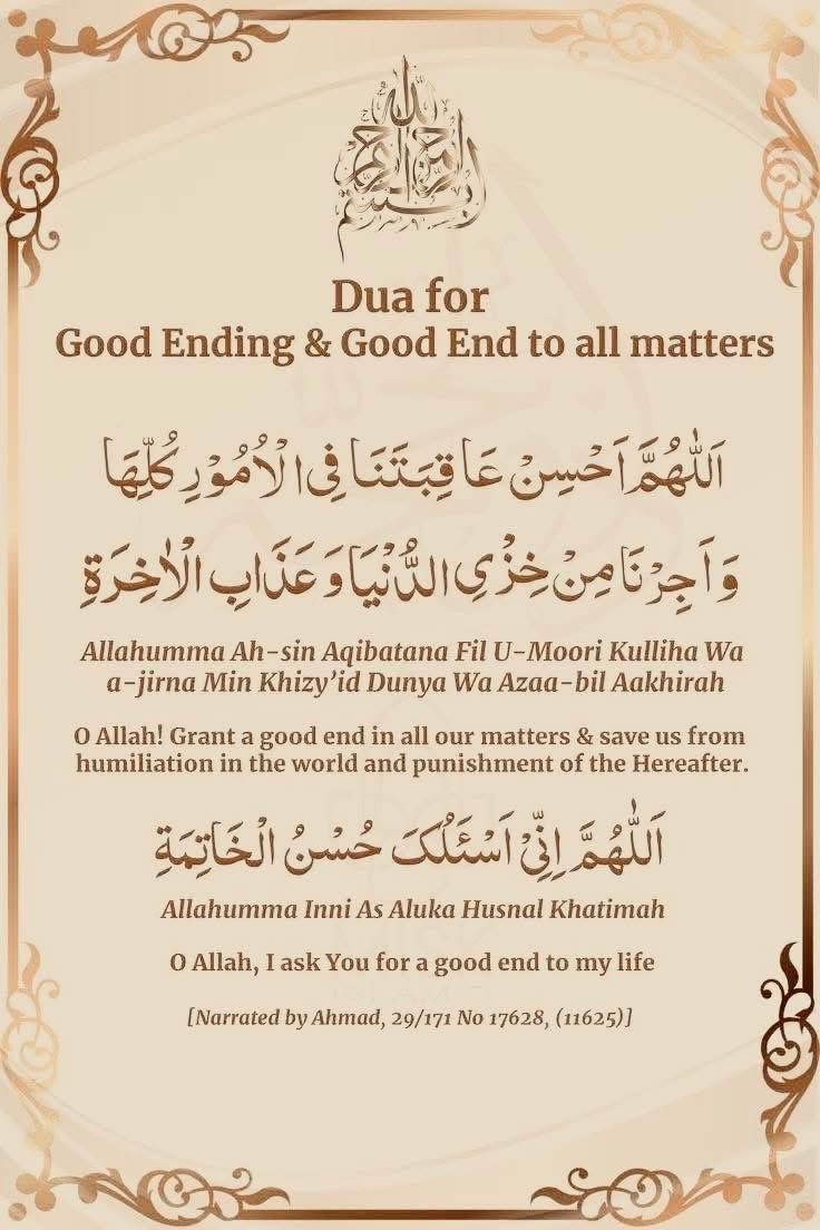 Haleema Abubakar🌹 tweet media