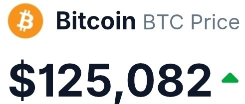 Kyle Lee tweet media