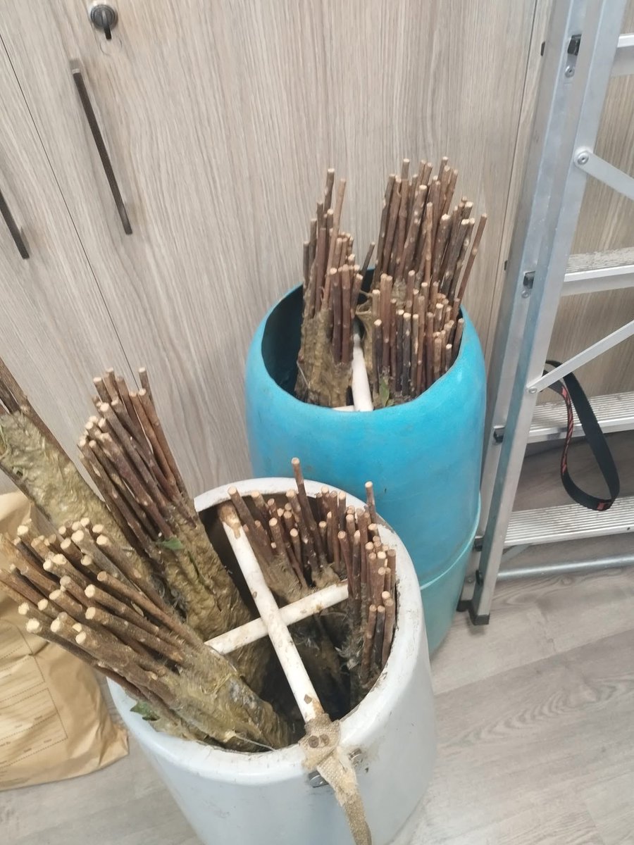 Committee Against Bird Slaughter (CABS) tweet media