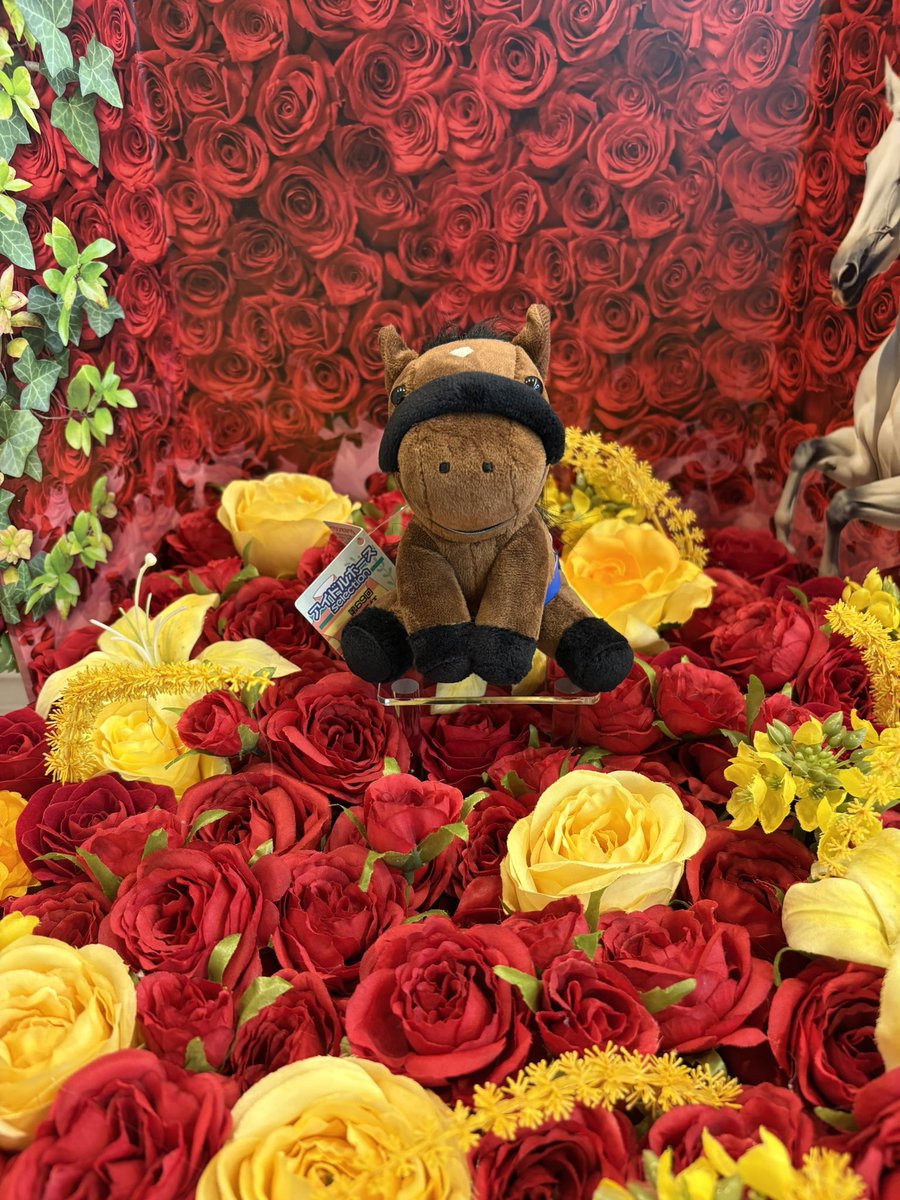 rikalyna's tweet image. オペラぬい購入して撮影✨✨
#べラジオオペラ 
#東京ドームシティ 
#ウインズ後楽園 
#WINS後楽園
