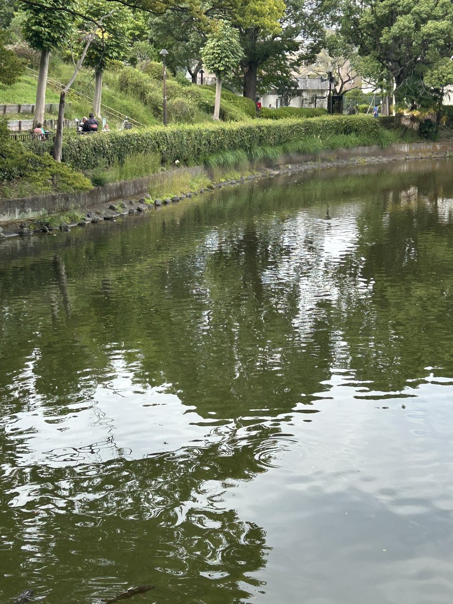 でいだらぼっちの地団駄でできた池。