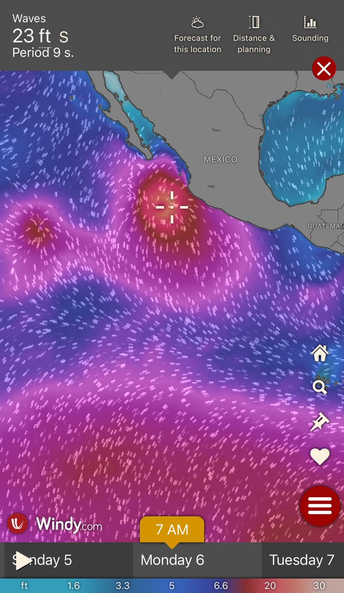 SunsetSailor🛳️ tweet media