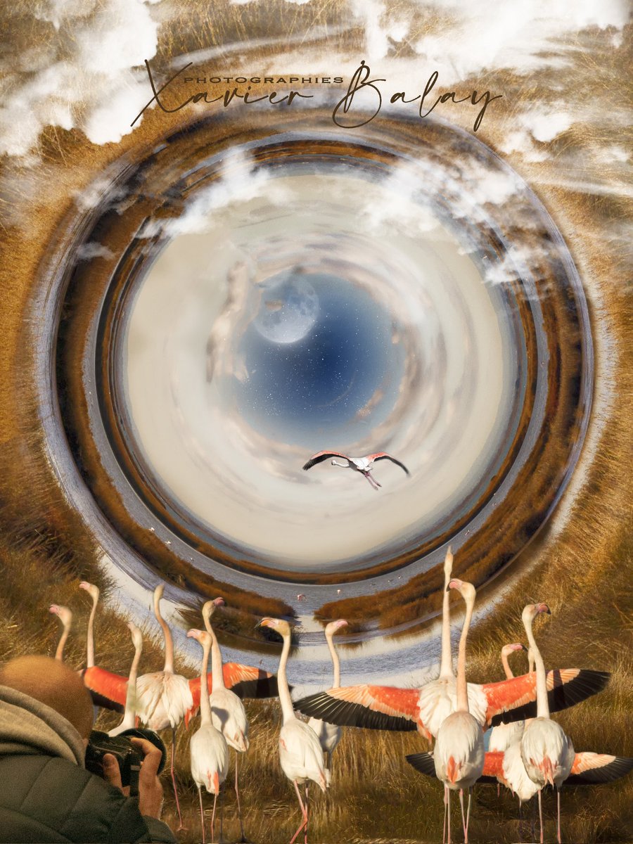 XavierBalay's tweet photo. Mes mondes circulaires.
S'échapper, l'ailleurs, le lointain, le proche semblant inaccessible. Un chemin vers l'autre côté. Anamorphose.
Tant d'interprétations...
D'ailleurs quelle est la vôtre ?

https://t.co/EGp90BxAIg 

#circle #art #photo #photographe #anamorphic #anamorphose https://t.co/PouNck9x0E