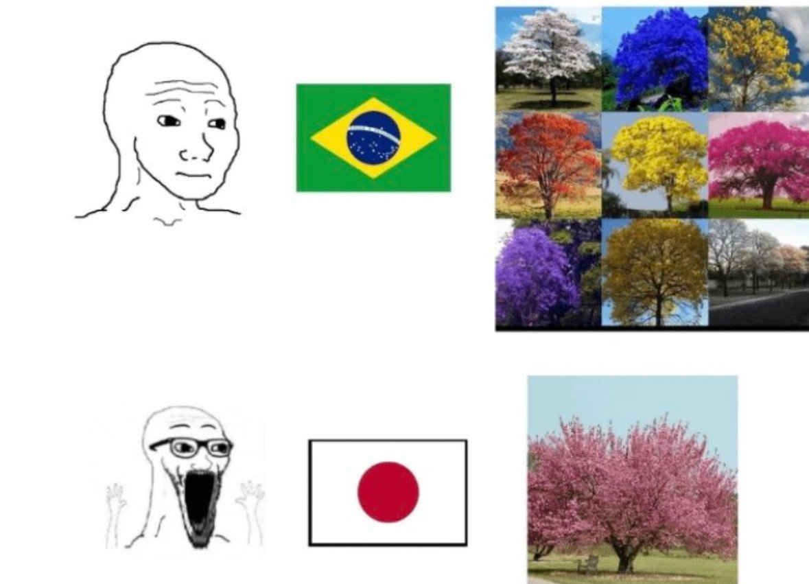 Shitpost 2077 (@shitpost_2077) on Twitter photo 