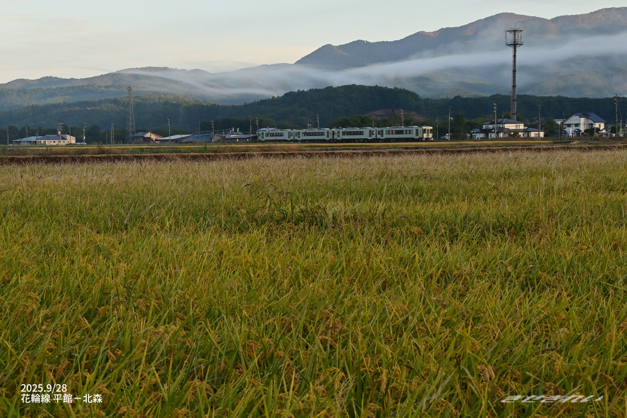 きせきれい on X: 