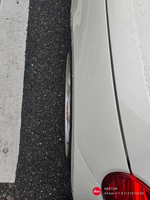 ちょっとした晴れ間にちゃんとチェック。なんかどうやらギリ収まってるっぽいのでフェンダーモール作戦は解除とした。 