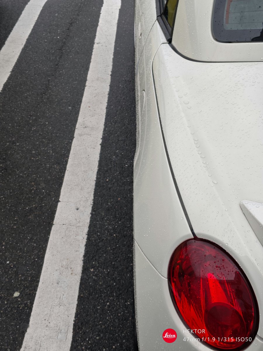 ちょっとした晴れ間にちゃんとチェック。なんかどうやらギリ収まってるっぽいのでフェンダーモール作戦は解除とした。 