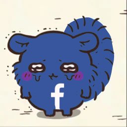 momonga fan account tweet media