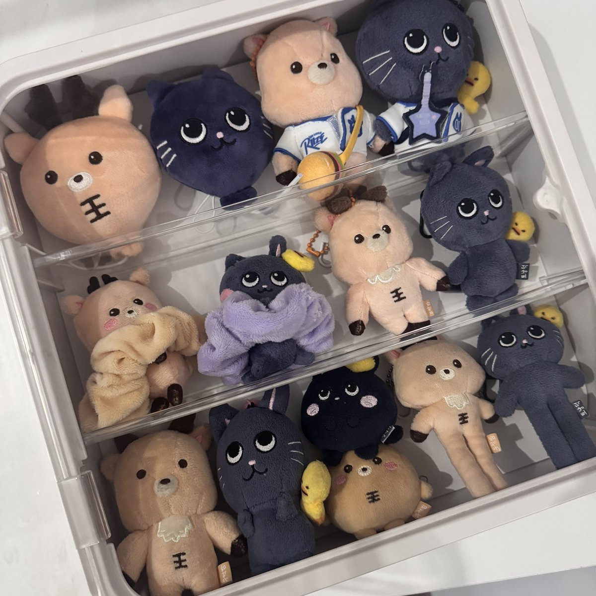 my couple of the year : urakbam &amp; nyangdeok :p