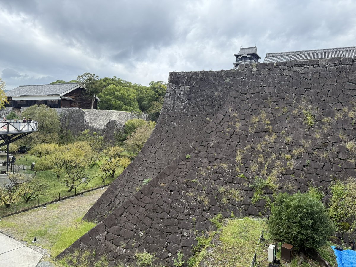 rymansocks's tweet image. 久々の熊本城🏯