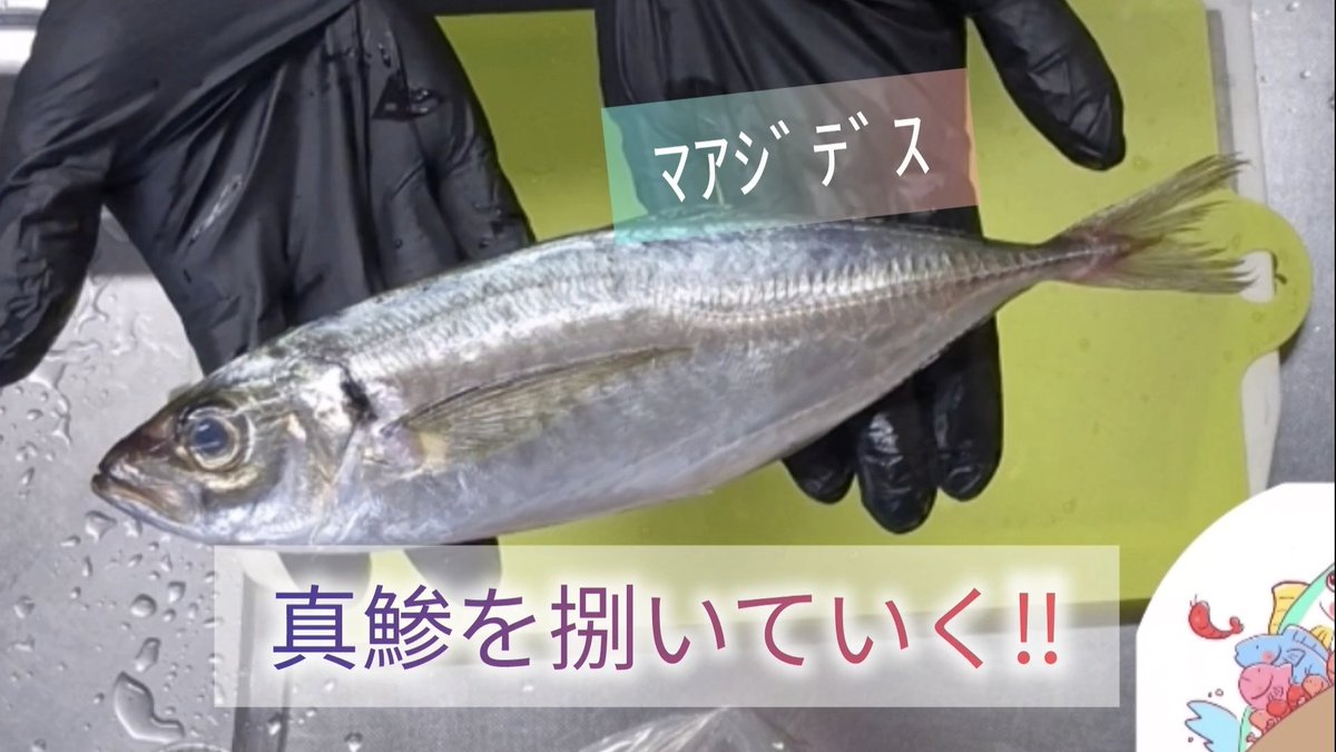 みなさまおはしゅりちゃん！🦐🌟

今日は新しい動画が投稿される日！✨
20:00からプレミア公開です‼️
みんなで一緒に見たいのでぜひ遊びに来てね(⑉• •⑉)🩷
⬇️
youtu.be/Qa6y3j2Z92k?si…

それでは今日もゆる〜くいきましょー！✨

#おはようVtuber