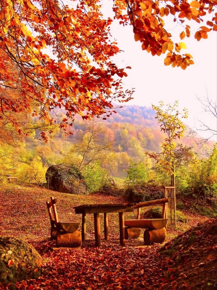 123 (@xetra_a) on Twitter photo 