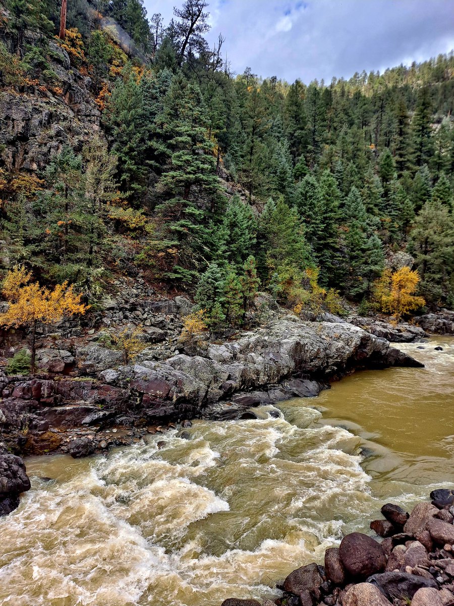 CarolGardner7's tweet photo. View from the historic Durango to Silverton steam railway, magnificent colourways, don't you think? #poshmumsjourneys #Colorado #AutumnGlow #historicrailway #Durango #Silverton #steam #scenic #travelphotography #travelblogger https://t.co/p4vZxx0lHf