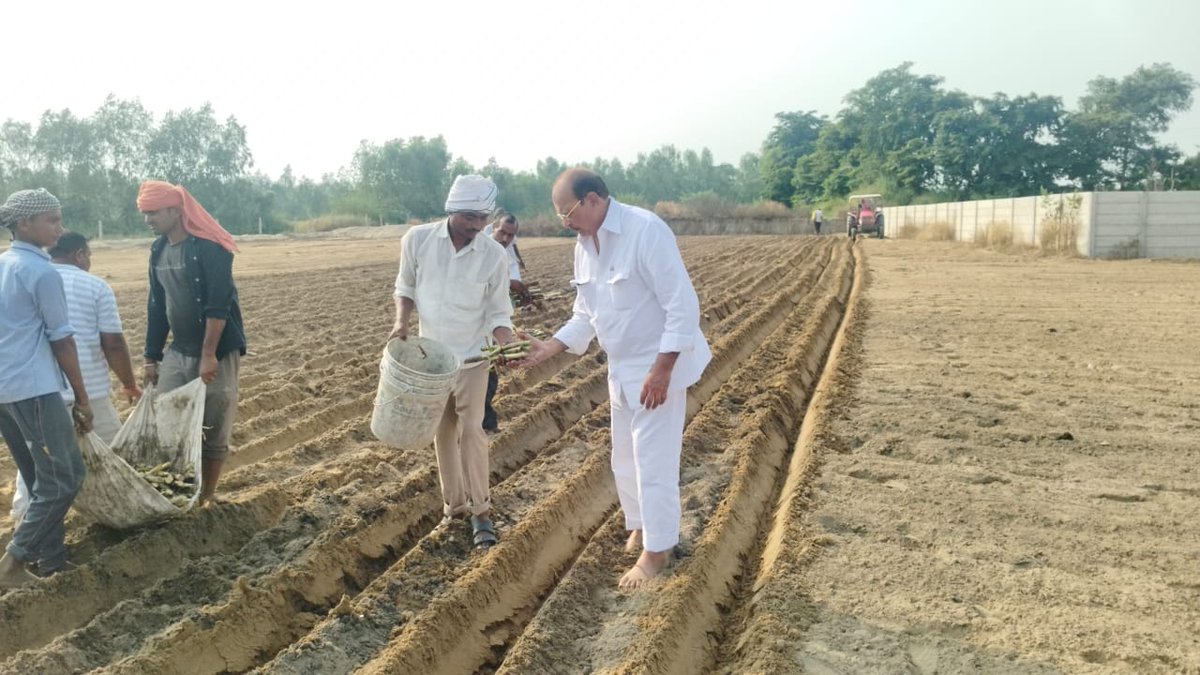 FMNewsLive's tweet image. #Budaun: 
➡️डीपी यादव सहसवान कृषि फार्म में गन्ने की बुवाई करते नजर आए,
➡️किसानों और मजदूरों के मसीहा के रूप में पहचाने जाते हैं,
➡️गौशाला में गौवंश को चारा भी खिलाते दिखे,
➡️2027 विधानसभा चुनाव में पश्चिम यूपी में दमखम के साथ चुनाव लड़ने का दावा,
@idpyadav #DPYadav #UPPolitics…