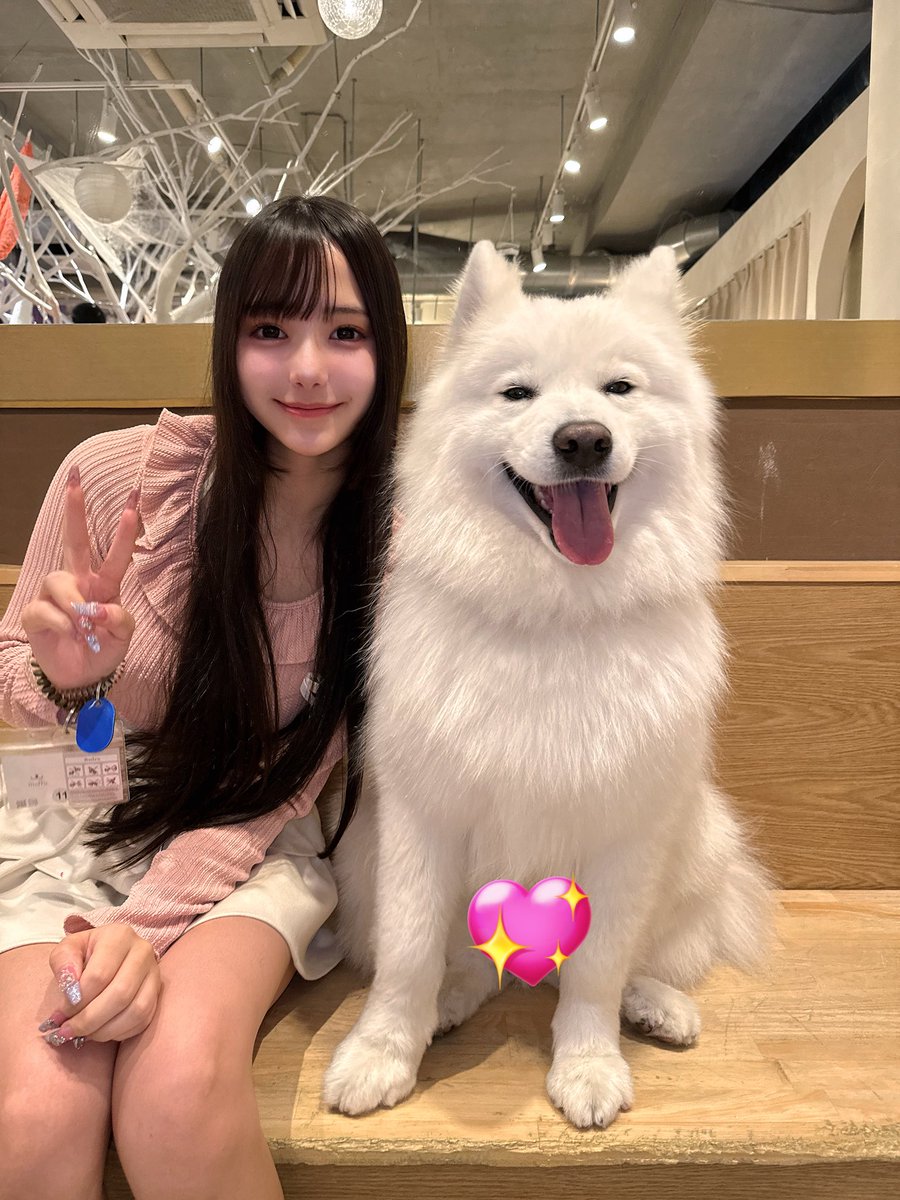 Post by 🐰天使 ここな【コイカギ】7/16五反田 BLAZE ワンマン🐰 on X