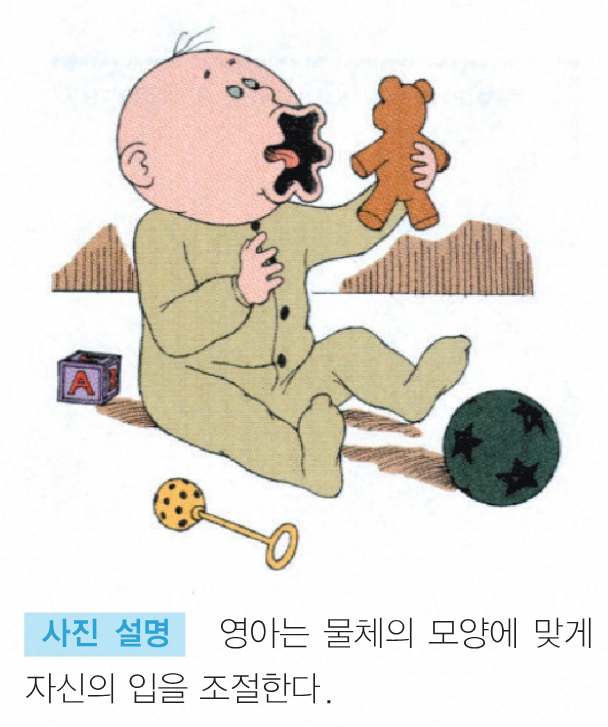 짤 고화질로 가져가십쇼

시험공부하다 교과서에서 눈마주칠줄은 몰랐네
이게 원본이었다니

정옥분. (2021). 청년심리학(3판) (pp. 240). 서울: 학지사.