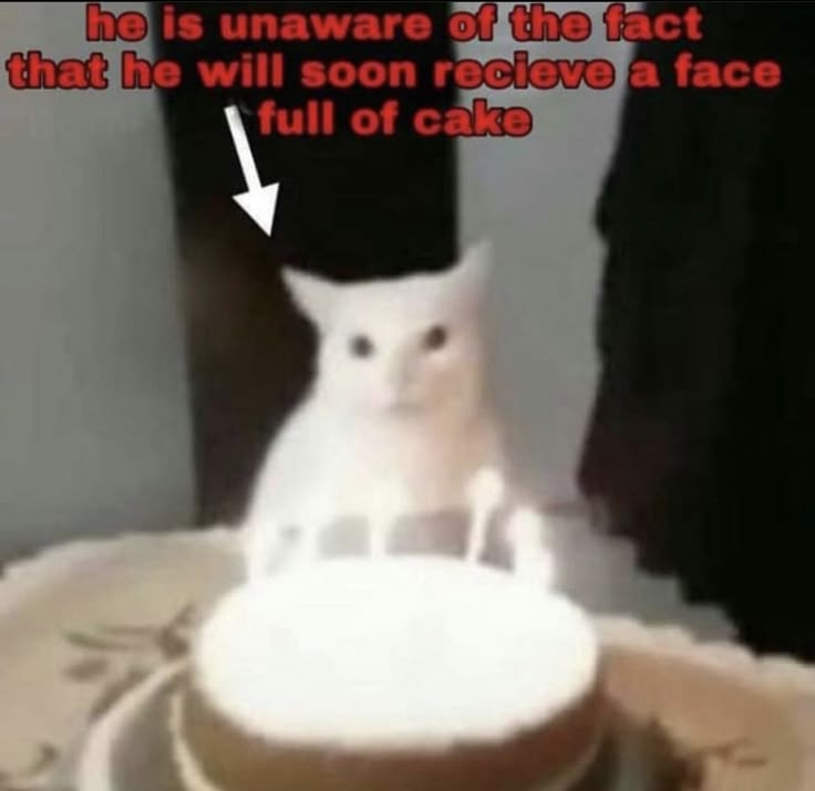 Los amo a todos y aun si llegan tarde sea quien sea, los quiero incorporar a este dia tan especial, seamos amix y porfa hablemos para conocernos y poder aun si tarde celebrar este bonito dia, come to say hi for the rest love ya y feliz cumpleaños a todos los demas