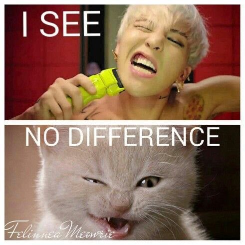 MillennialB4NG's tweet photo. these games are getting so hard ππ - π¦#BIGBANG #GD #KWONJIYONG #GDRAGON #MB_GDRAGON https://t.co/XENx3yHDu2