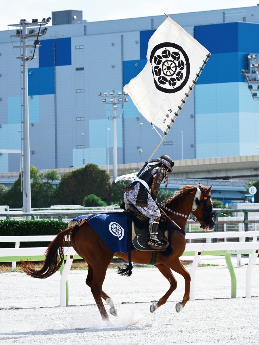 天馬久遠　ページ LEXER磯遠投 振出 遠投 磯竿 4号-530PTS 4-530 フカセ釣り