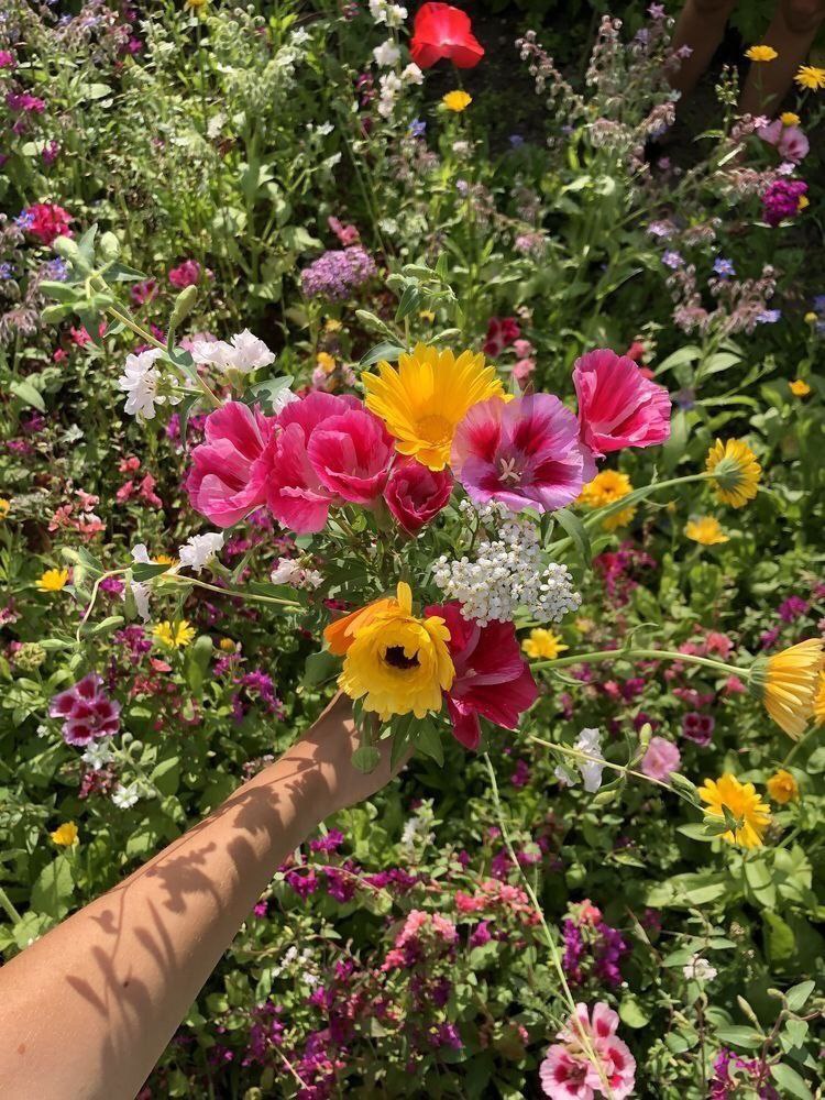 ابحثوا في الصباح  🌤 
عن تفاصيل الجمال في كل شيء  ….الأمر بسيط ، فقط تأملوها و ابتسموا  .!صباااحكم سعاده وفرح !🌤

#صباح_الأشياء_المُشرقة 💙✨
#صباح_الخير_والسعاده 💙🦋