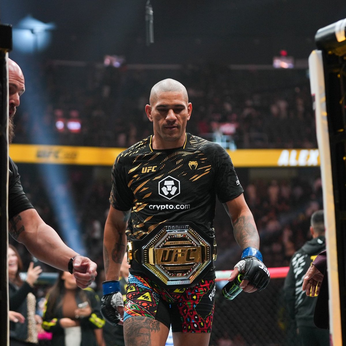 新品【限定生産品】UFC公式 アレックス・ペレイラ フィギュア TUBERA 新品【限定生産品】UFC公式 アレックス・ペレイラ フィギュア TUBERA