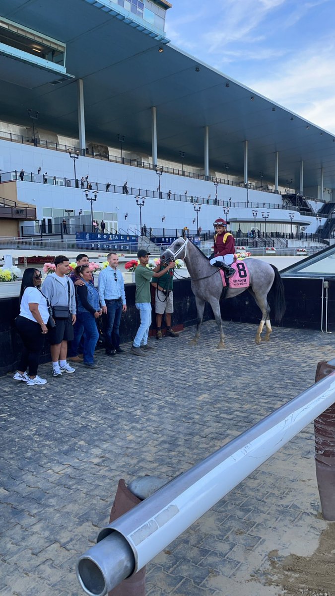 MSBahassan tweet media