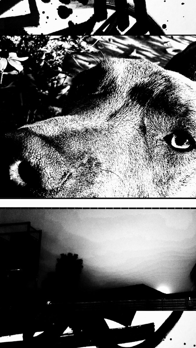 PelpaKarnaval's tweet photo. Original Graphic Design.
Feat: @cloud_pov
#PKone #Graphism #design #DigitalArt #creation #Collage #UrbanArt #WeLoveDogs #Peace4Animals #213TokyoClub https://t.co/ppM9vaOlwS