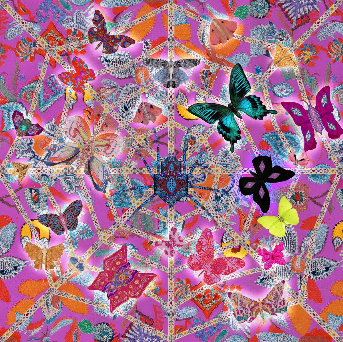 Moogenstein11's tweet photo. Gn! Stuck on the web 🕷️🕸️ | AI+Collage Day 88 #AIart #aiartcommunity #generativeart #digitalart https://t.co/wXfokFSRP2