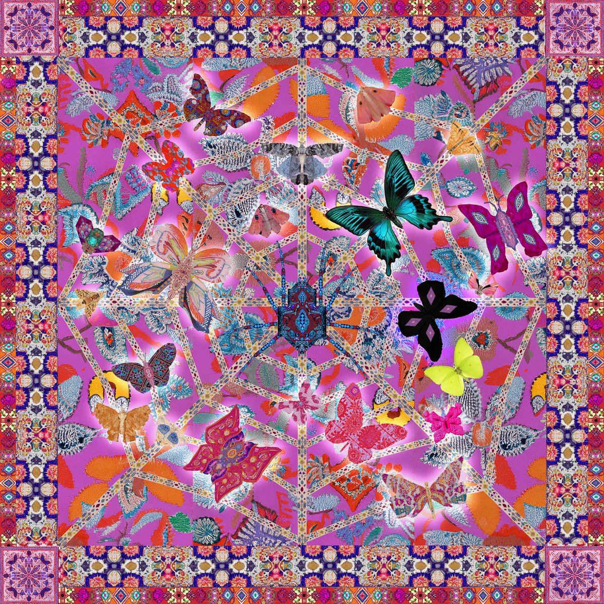 Moogenstein11's tweet photo. Gn! Stuck on the web 🕷️🕸️ | AI+Collage Day 88 #AIart #aiartcommunity #generativeart #digitalart https://t.co/wXfokFSRP2
