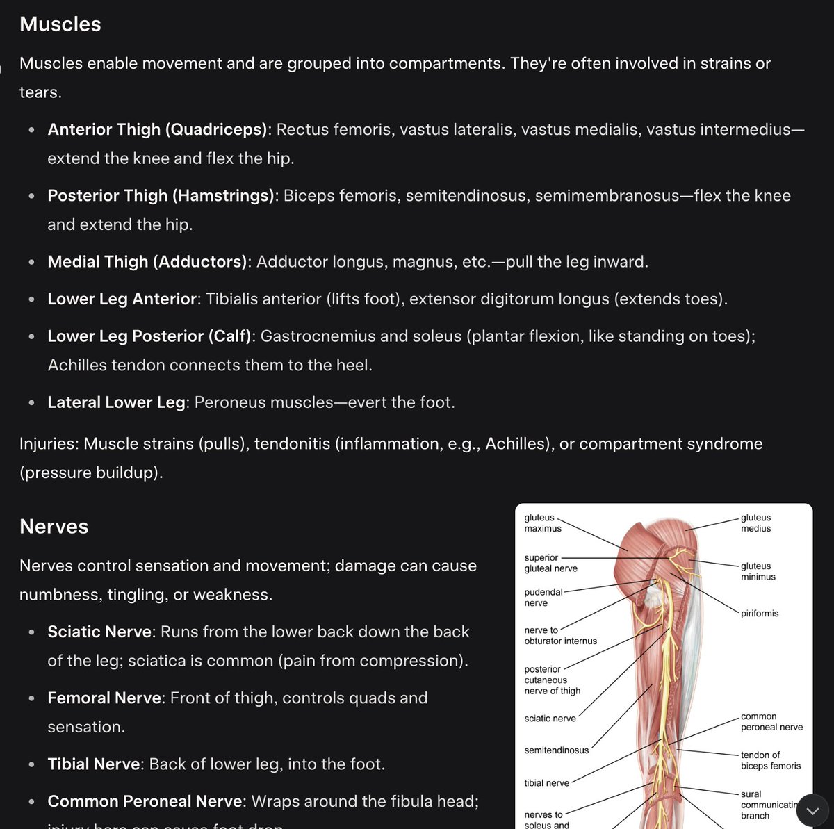 gauravisnotme's tweet image. Here&apos;s a sneak-peek into my chat with @grok today. 

It brings all pieces of information, including the visuals right in the chat.

Further, I can just select parts from the chat and ask follow-up questions, branch-off to tangential topics and much more. 

P.S.: Grok strongly…