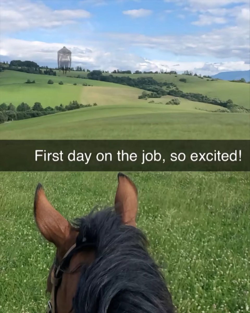 🕐HOURLY🕑 shitpost (@hourly_shitpost) on Twitter photo 