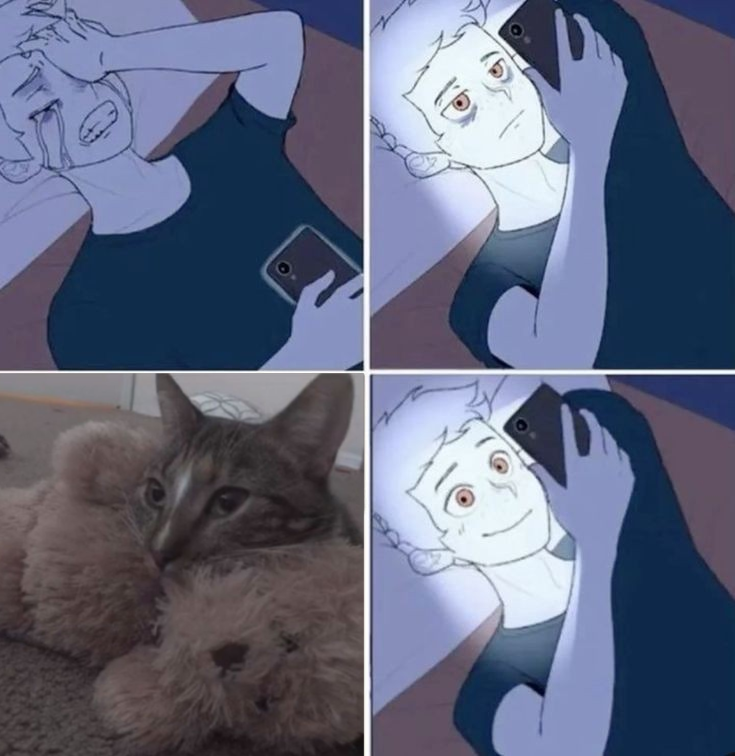 daily patches 😼 tweet media