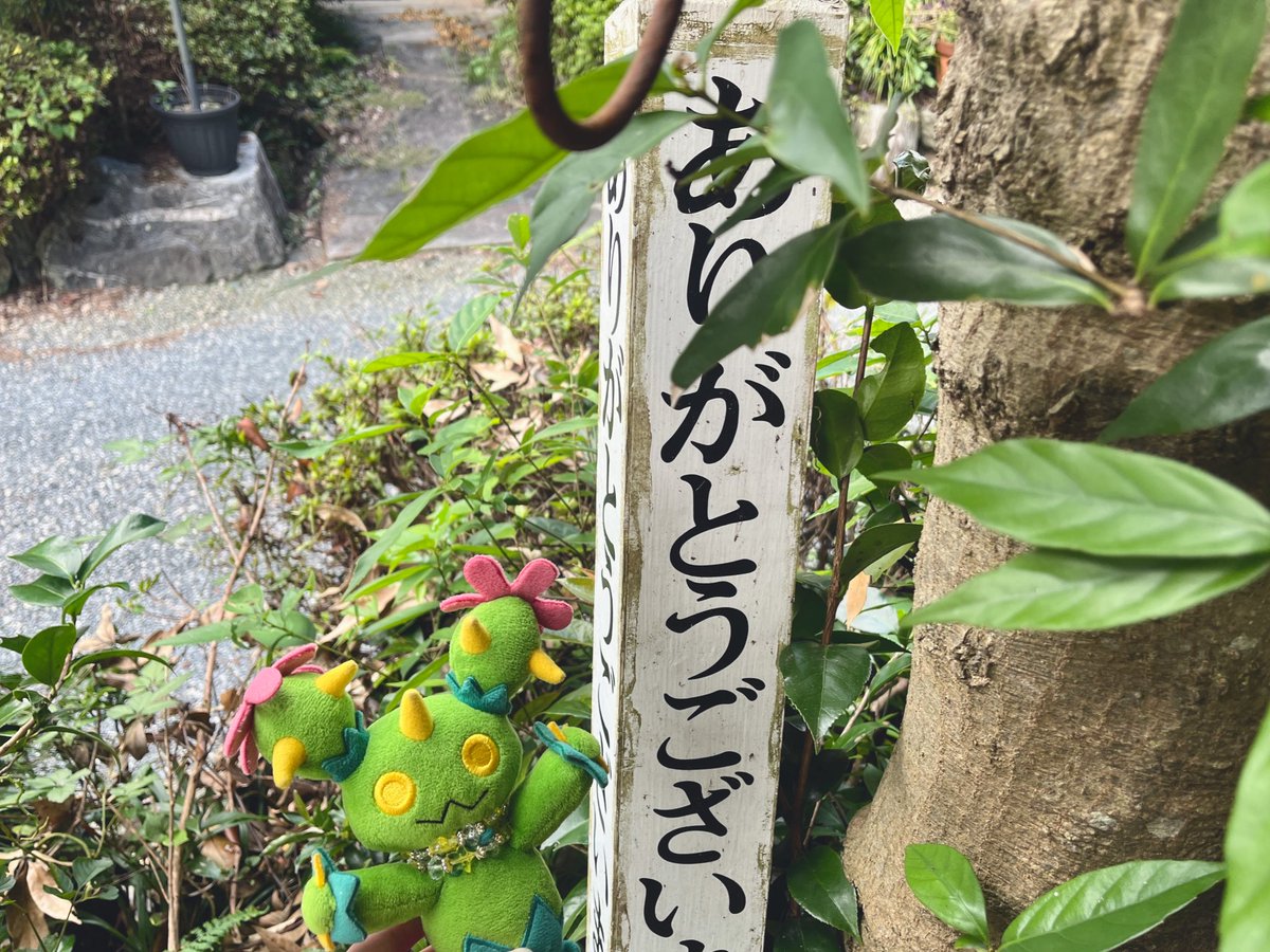 とびだせマラカッチ tweet media