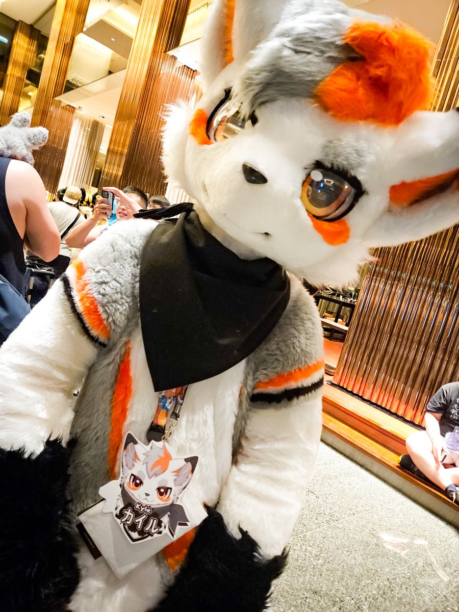 FALSE...?🥷@カイル🦊 tweet media