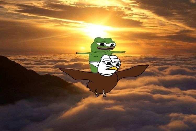 Rusk0f tweet media