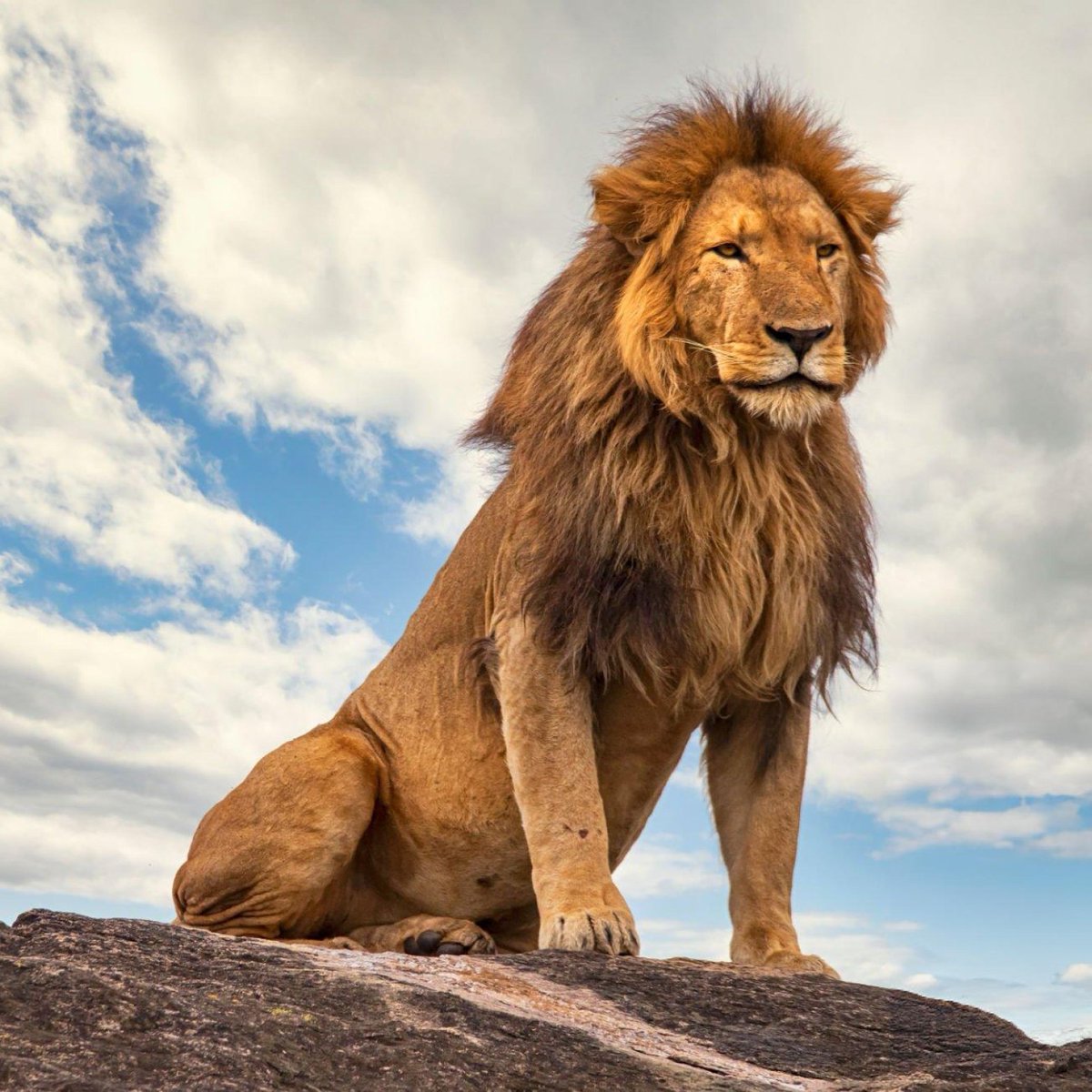 Guntof Andrean tweet media