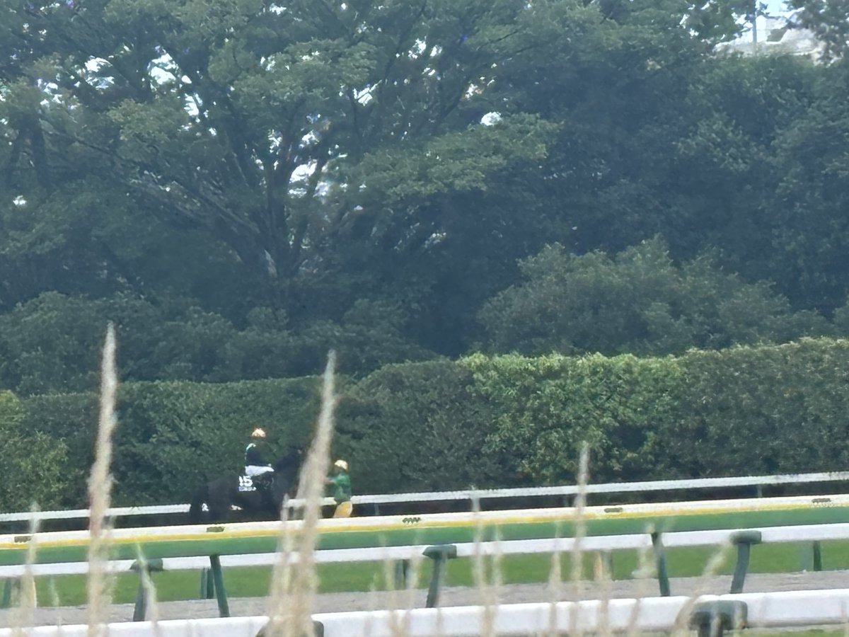 goji_datuji's tweet image. あらあら大丈夫かな