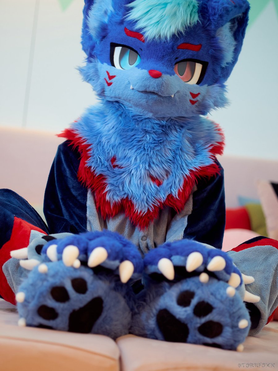 肉球 🐾   ヾ(*ΦωΦ)ツ

📷：<a href="/TorrFoxx/">圖爾 UTFG 🔜 Infurnity 2025</a>