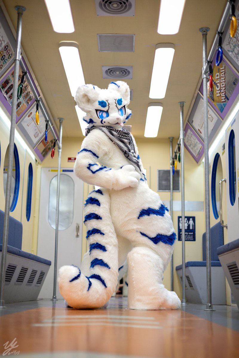 #FursuitEveryday
허리꺾기 힘들엇!

📷: <a href="/Melty_furry/">Koyu / 코유 📸 🔜 Fur:raid</a>