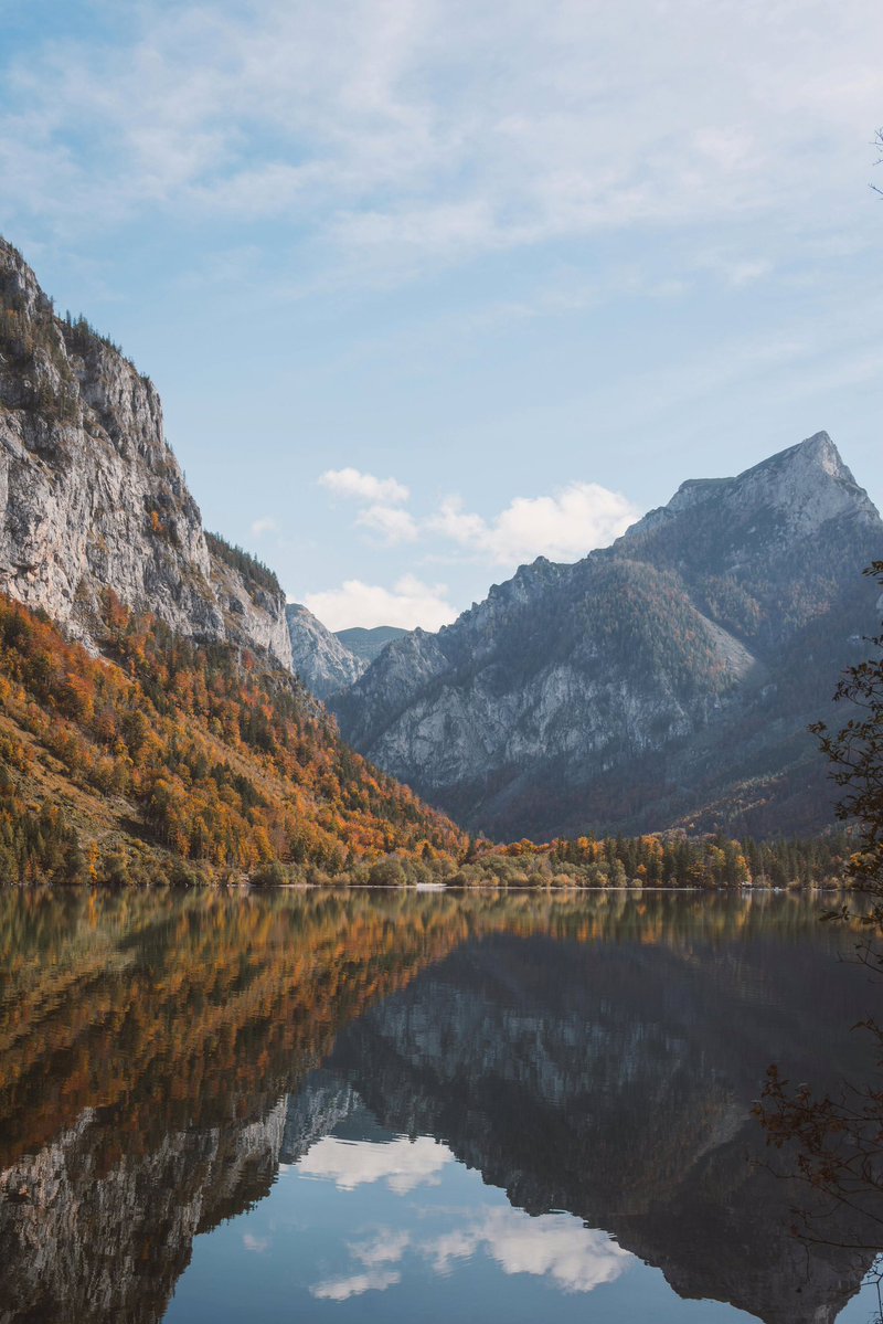 marie_nassar's tweet image. Good morning X-Friends…🌷🍂☕️
Have a blessed and relaxing Sunday 🌳🍂⛰️💦🌤️🩵🤍🧡

#SundayMorning 🌷 #CoffeeTime ☕️ #NatureBeauty ⛰️ #StayPositive 💞 #Blessings 🤍 #PeaceAndLove 🕊️