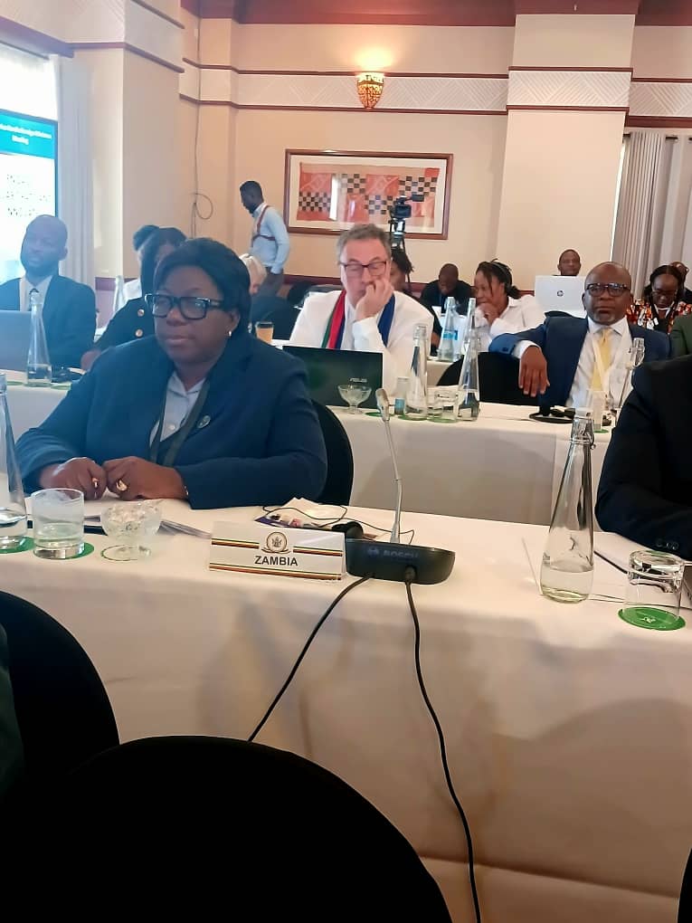 ZambiaMFAIC's tweet image. The Republic of #Zambia has reaffirmed its  commitment to multilateralism and assured of its continued and enhanced partnership with the #Nordic countries, particularly in addressing global peace, security, and development challenges.