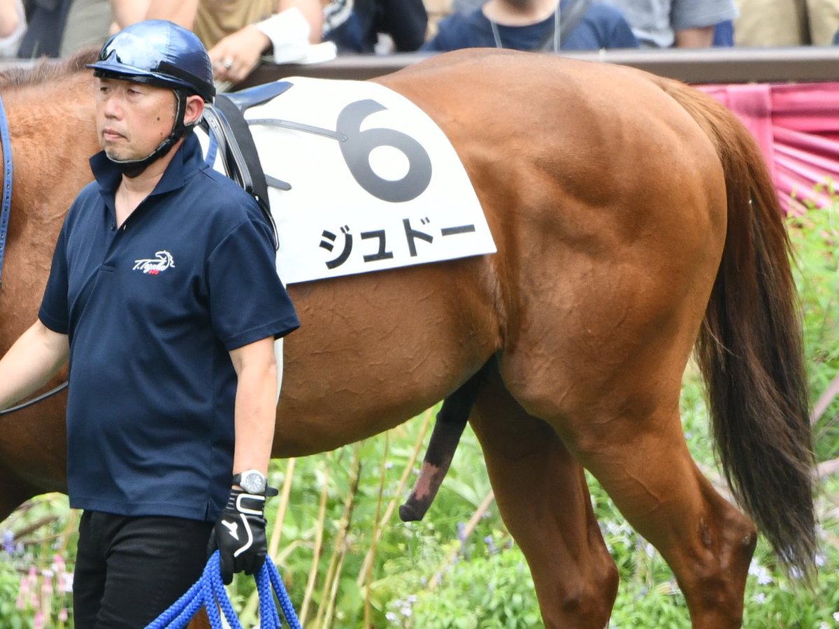 4649メカDOG様 4649メカDOG様 SMP [SHOKUGAN MODELING PROJECT] タイムボカン