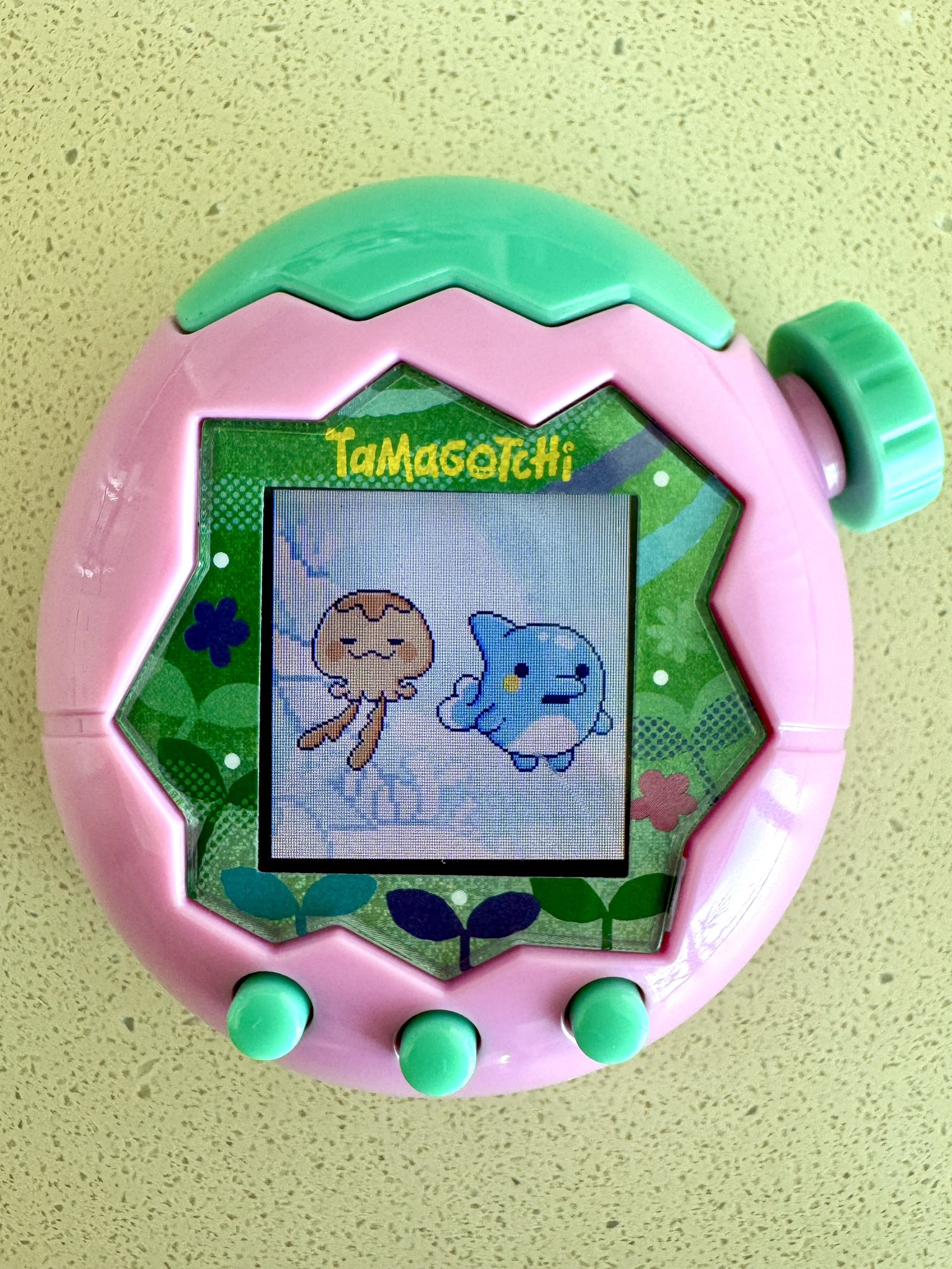 たまごっちパラダイス Tamagotchi Paradise（たまごっちパラダイス） | たまごっち公式