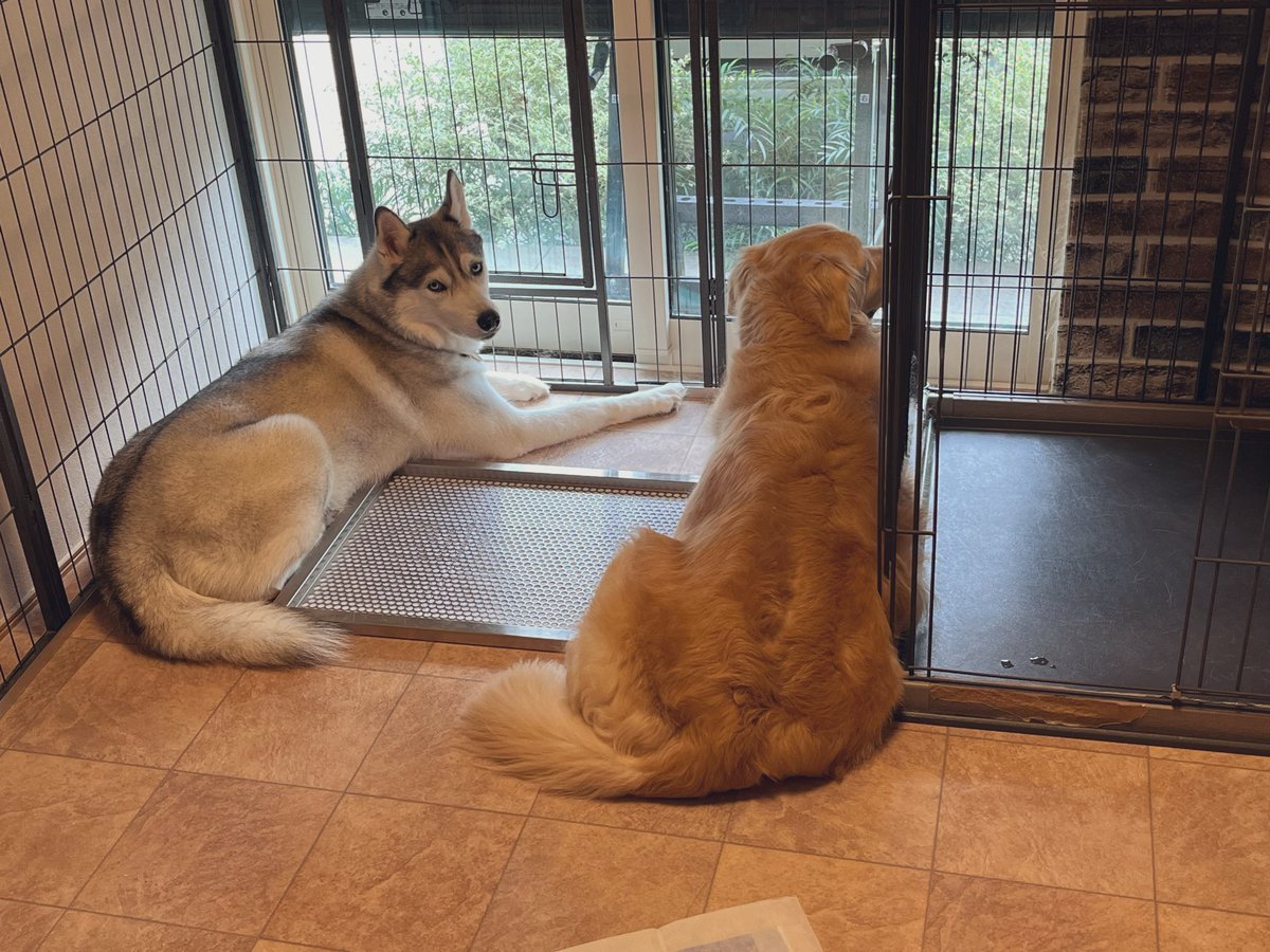 外の行き交う人を見るのが好きらしい