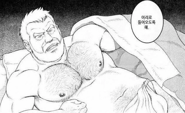 내 취향은 남성향이라고 생각하는데
내가 말하는 남성향은 이쪽임 