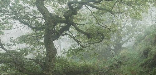 axie.*:･ﾟ✧ (-107lbs) tweet media