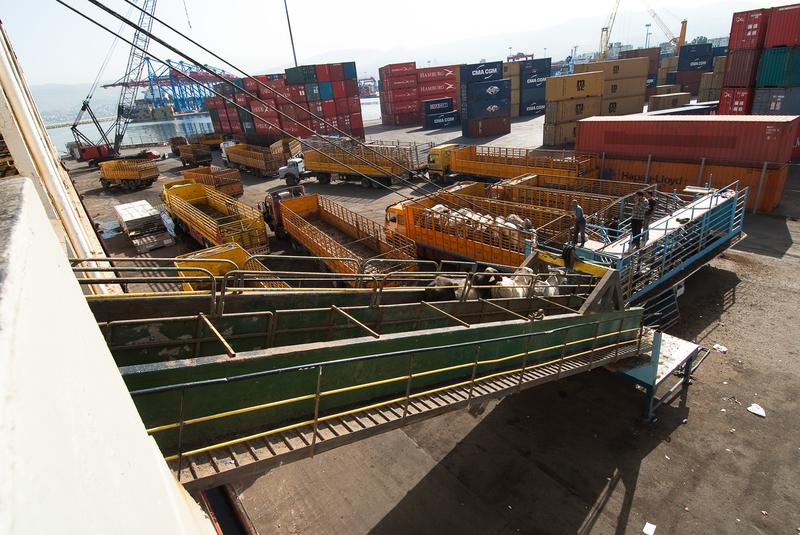 Marché du broutard : flux taris du côté du Maghreb et du Moyen-Orient dlvr.it/TNTb3V